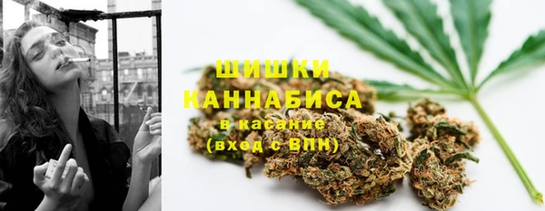 индика Верея