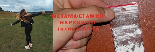 индика Верея