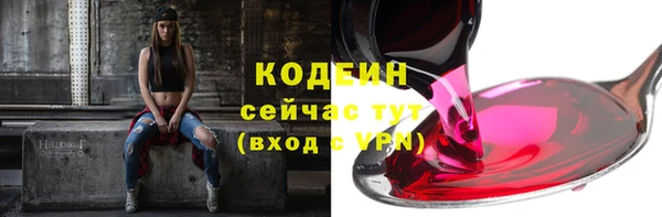 индика Верея