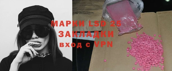 индика Верея