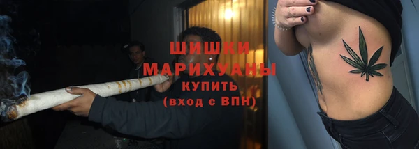 индика Верея