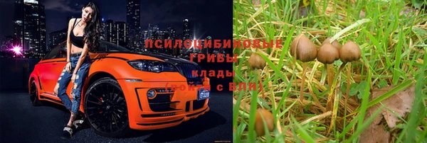 индика Верея