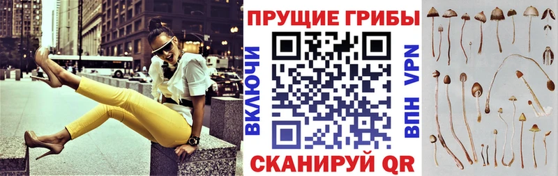 Галлюциногенные грибы прущие грибы  Купить закладки  Устюжна 
